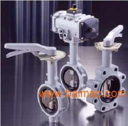 日本北澤kitz蝶閥,日本北澤kitz蝶閥生產廠家,日本北澤kitz蝶閥價格