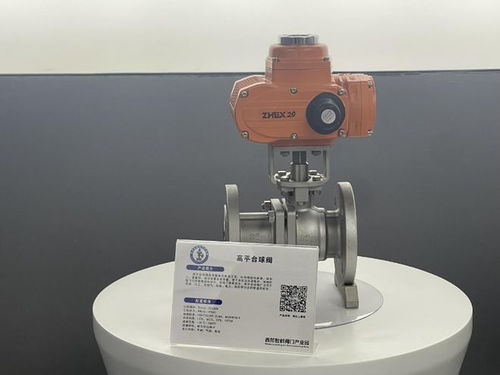 一年蝶變 看墊江智能閥門產業如何“閥”奮圖強